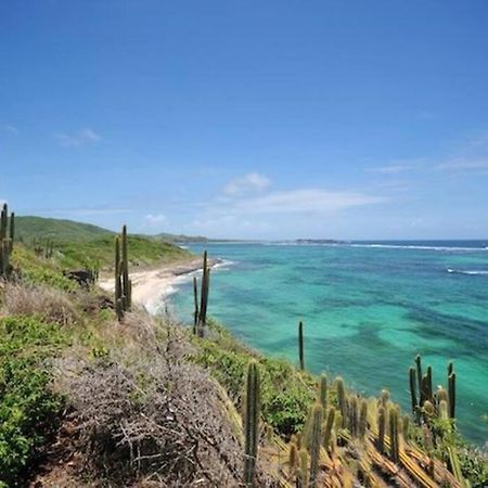 דירות סנטה-אנה Hamo Tropical Piscine Proche Plage מראה חיצוני תמונה