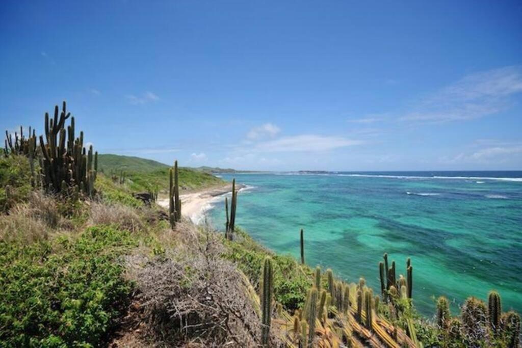 דירות סנטה-אנה Hamo Tropical Piscine Proche Plage מראה חיצוני תמונה